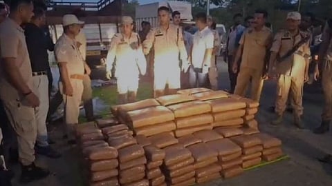 Image of the cannabis seized in Sribhumi