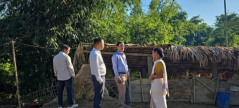 Margherita Co-District Steps Up African Swine Fever Containment Efforts Amid Rising Cases