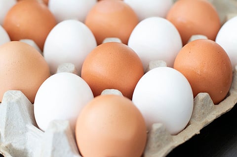 egg prices