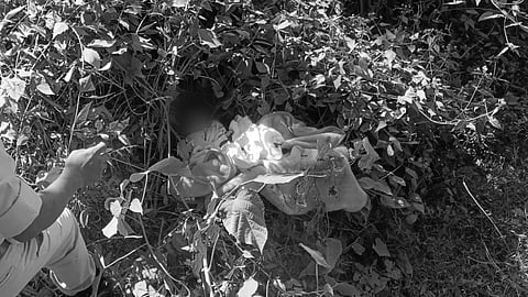 Image of infant's lifeless body found in Hailakandi