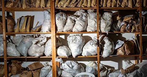 Image of the seized cannabis