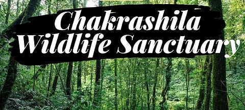 Chakrashila Wildlife Sanctuary