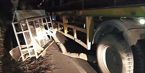 Image of the incident on late night at the Kaziranga National Highway