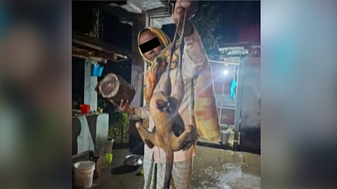 Image of the critically endangered Bengal Florican consumed in Chirang
