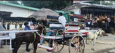 Image of the horse cart rides at the Kaziranga National Orchid and Biodiversity Park