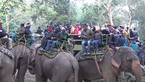 Elephant safari by tourists at Kaziranga National Park