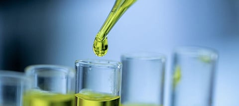 cancer-fighting plant