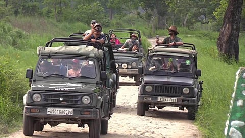 Kaziranga National Park