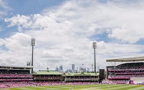 Happy with the colour of the pitch at the moment, says SCG curator