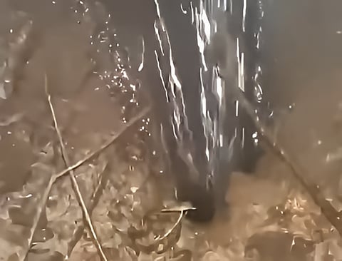 Image of the oil pipe burst scene in Tingkhong