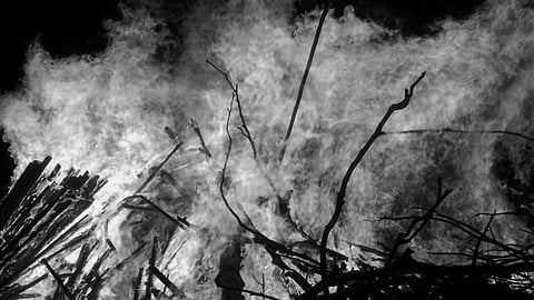 Alami–Laklongia Green Farm