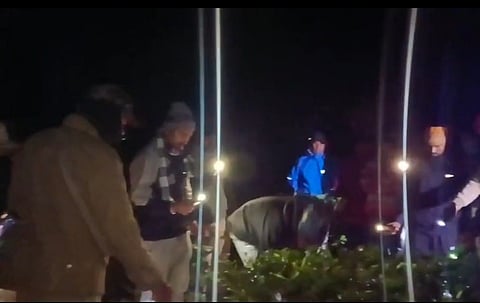 wild elephant attack