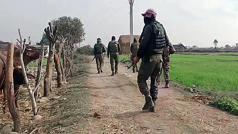 Pakistani Jaish