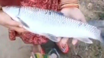 Kalioni river