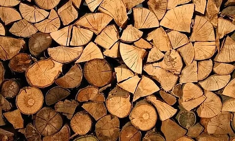 timber-laden vehicle