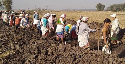 Assam deleted 12.54 lakh MGNREGA job cards in past 6 years