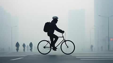 Air pollution may reduce health benefits of exercise: Study