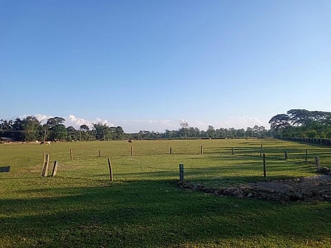 Moran Polo Club Golf Course