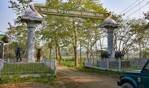 Kaziranga National Park and Tiger Reserve