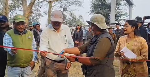 Panbari Reserved Forest