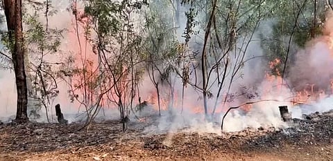 IAF Helicopter Deployed to Fight Forest Fire Near Military Station in Arunachal's East Siang