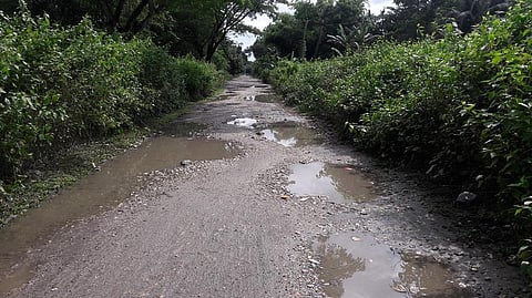 Dilapidated road