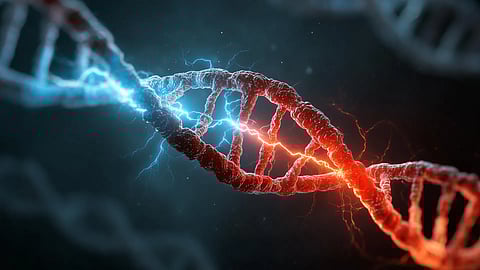 Protein Linked to ALS and Dementia Also Drives DNA Repair Errors, Study Finds