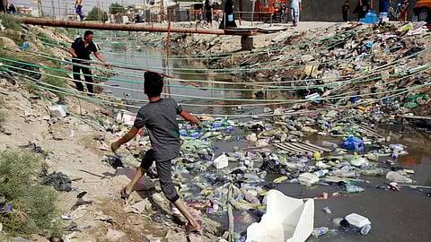 polluted water bodies