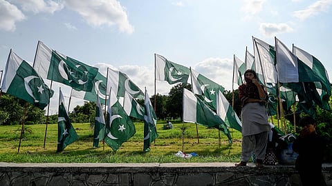 Amnesty International flags