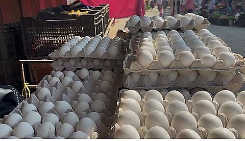 Egg Prices