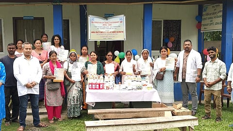 World Veterinary Day