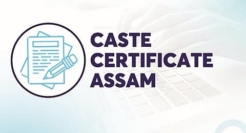 PIL Flags Fake Caste Certificates in Assam Reserved Seats; HC Says Issue Not New