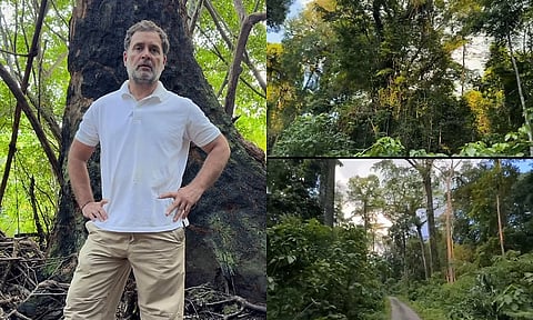 Rahul Gandhi