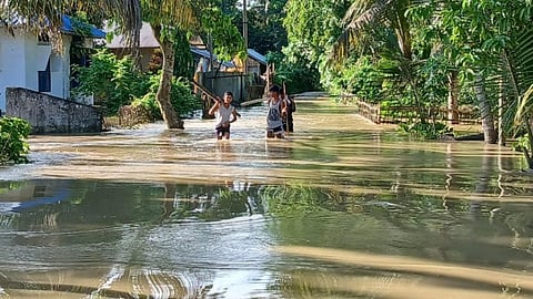 drainage