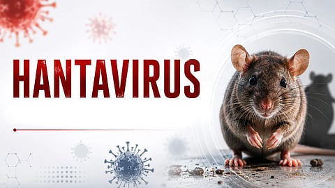 Hantavirus