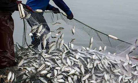 Assam