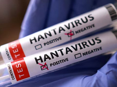 Hantavirus cases