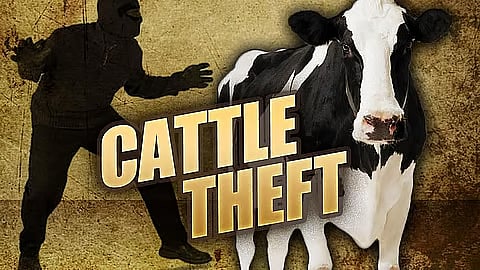 Night Theft