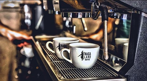Coffees of Nagaland