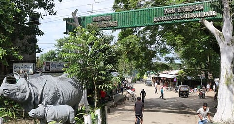 Kaziranga