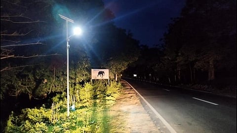 Solar-powered lights