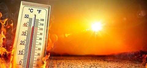 World Meteorological Organization