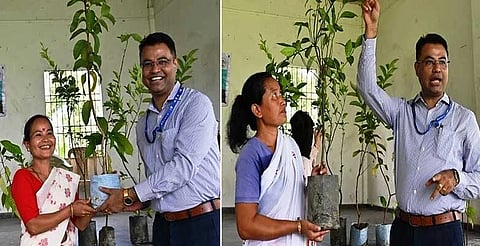 natural farming