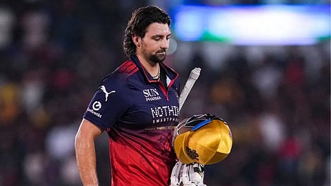 Tim David