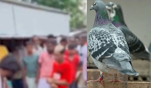 Assam: Minors Brutally Assaulted and Head Shaved Over Alleged Pigeon Theft