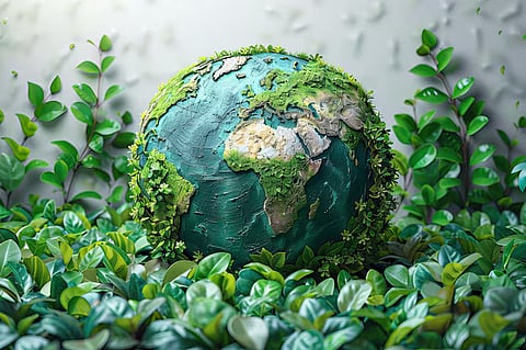 Nature, environment