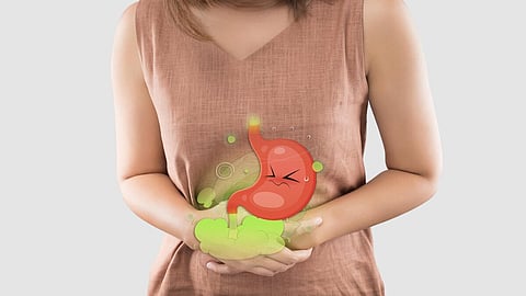 digestive system