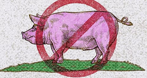pork ban
