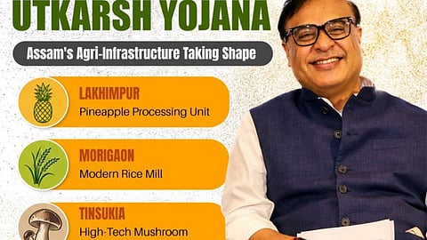 Assam Bets on Value Addition to Power Next Phase of Agricultural Growth