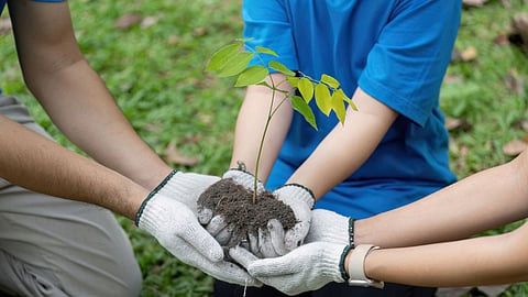 Green Drive Launched in West Karbi Anglong to Combat Global Warming